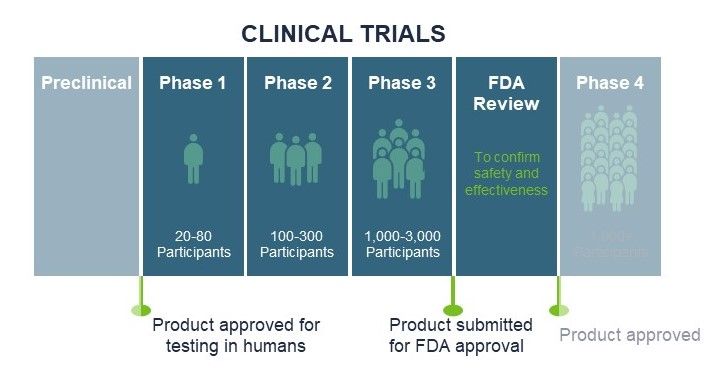 Clinical Trial Phases