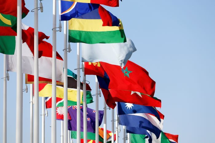 Lined-up flags waving