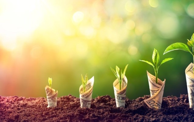 provident funds savings account growth