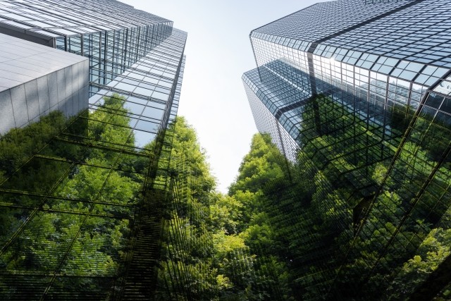 buildings with tree overgrowth underneath