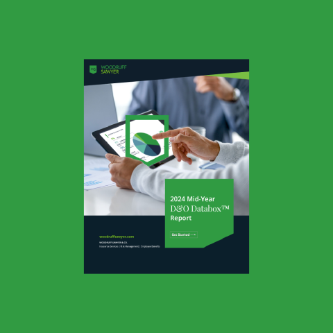 Databox 2024-mid-year-thumbnail