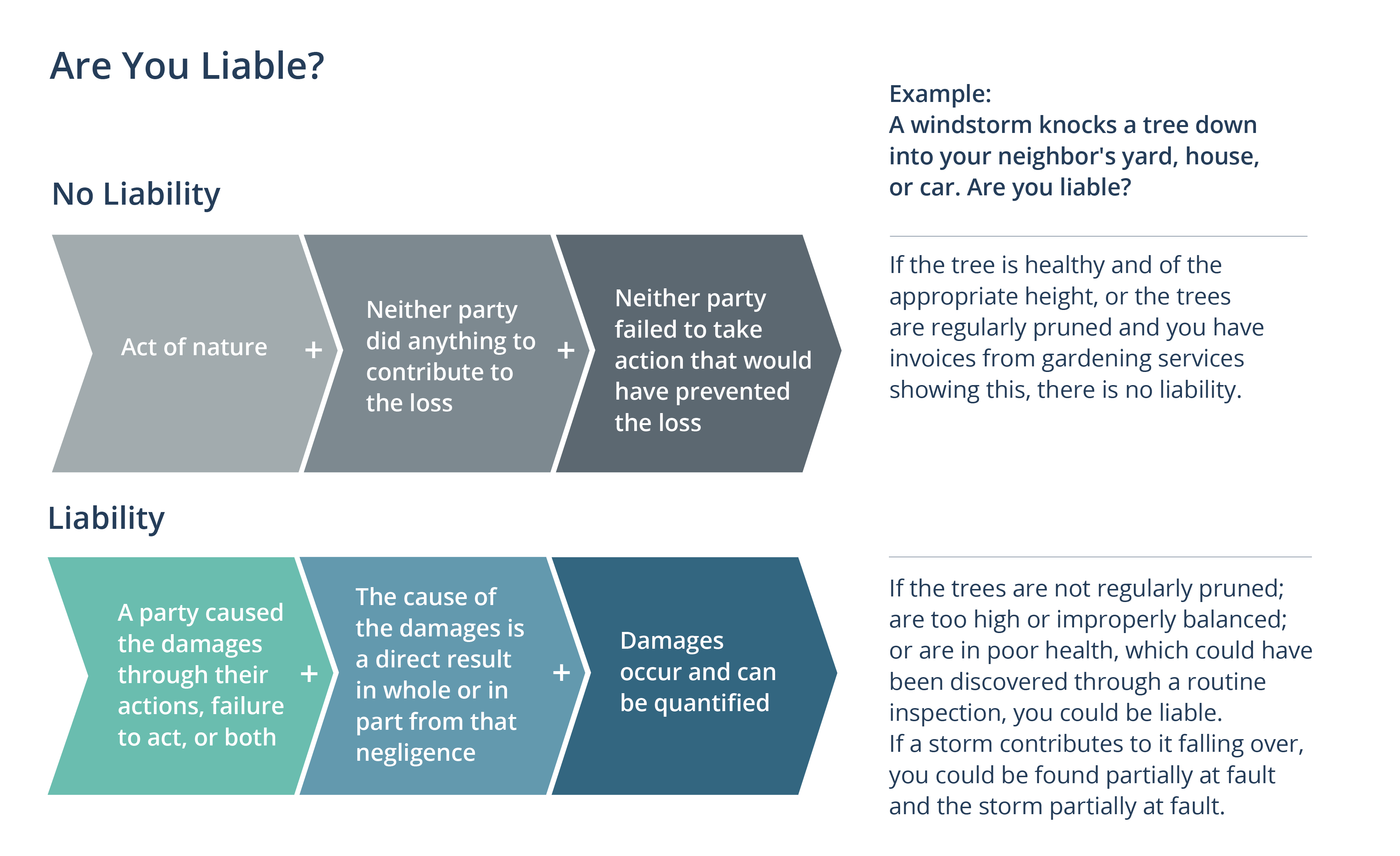 Are you liable graphic