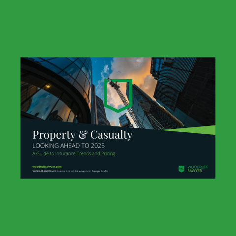 P&C looking ahead guide cover thumbnail