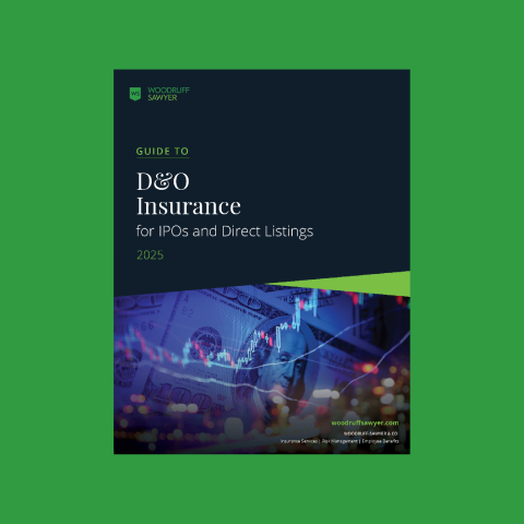 d&o ipo guide cover